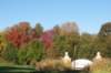 _0556_small.jpg