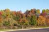 _0557_small.jpg