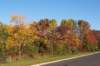 _0558_small.jpg