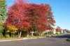 _0565_small.jpg