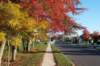 _0567_small.jpg
