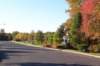 _0569_small.jpg