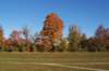 _0572_small.jpg