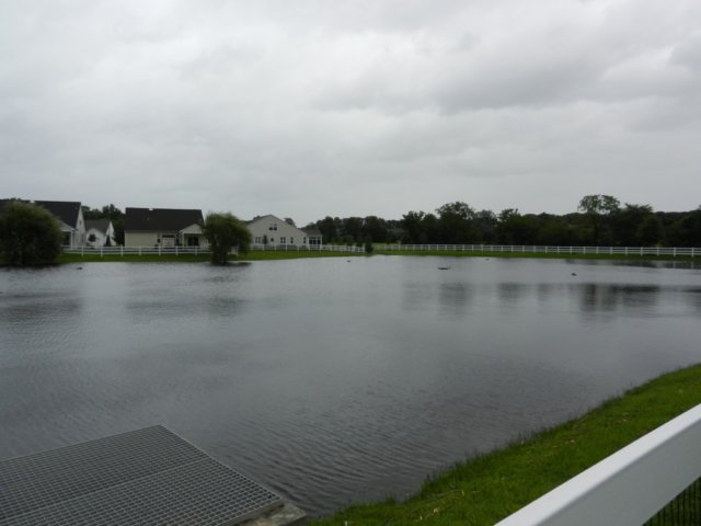 dscn0429.jpg