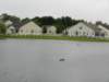 dscn0433_small.jpg