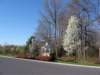 a4springtimeatheatherwood_small.jpg