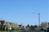 a5springtimeatheatherwood_small.jpg