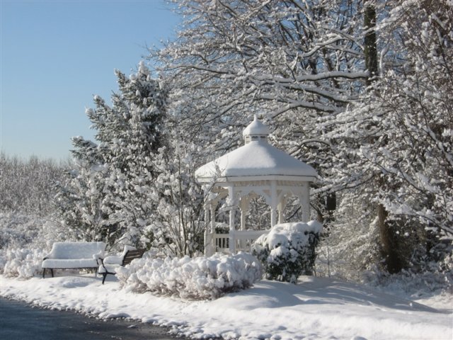 beautifulpeacefulsnow.jpg