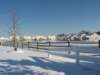 thepondinwinter_small.jpg